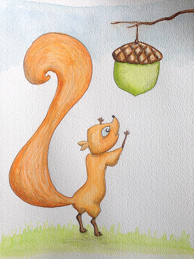 eichhörnchen squirrel